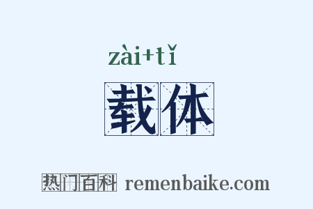 载体是什么意思的图片